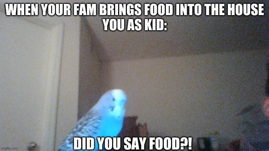 Birb Time | WHEN YOUR FAM BRINGS FOOD INTO THE HOUSE
YOU AS KID:; DID YOU SAY FOOD?! | image tagged in bird,birds,family life,family,food | made w/ Imgflip meme maker