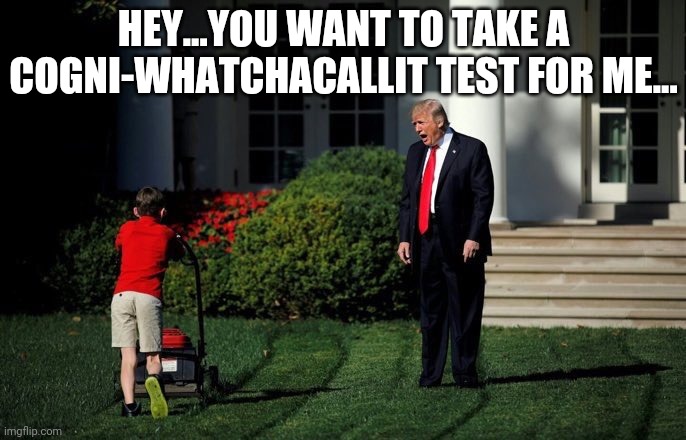 If it worked for the SATs... | HEY...YOU WANT TO TAKE A COGNI-WHATCHACALLIT TEST FOR ME... | image tagged in trump lawn mower | made w/ Imgflip meme maker