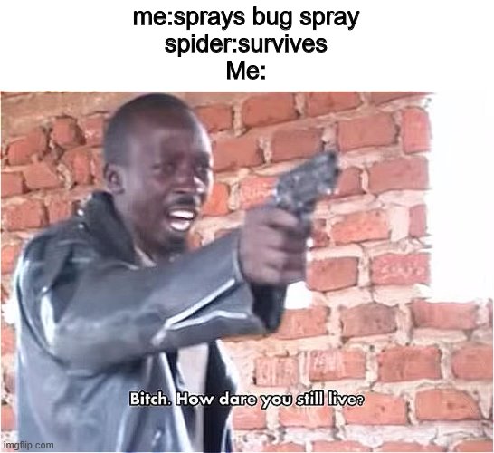 Bitch. How dare you still live | me:sprays bug spray
spider:survives
Me: | image tagged in bitch how dare you still live | made w/ Imgflip meme maker