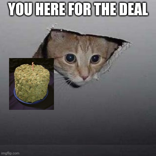 Ceiling Cat Meme | YOU HERE FOR THE DEAL | image tagged in memes,ceiling cat | made w/ Imgflip meme maker
