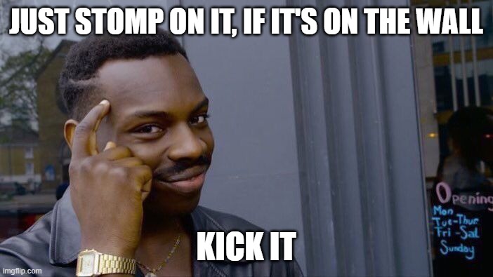 Roll Safe Think About It Meme | JUST STOMP ON IT, IF IT'S ON THE WALL KICK IT | image tagged in memes,roll safe think about it | made w/ Imgflip meme maker