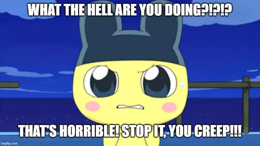 Angry Mametchi | WHAT THE HELL ARE YOU DOING?!?!? THAT'S HORRIBLE! STOP IT, YOU CREEP!!! | image tagged in angry mametchi,yandere simulator,senpai | made w/ Imgflip meme maker
