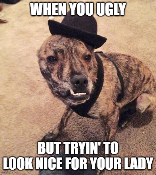 Rambo the snaggle tooth | WHEN YOU UGLY; BUT TRYIN' TO LOOK NICE FOR YOUR LADY | image tagged in rambo | made w/ Imgflip meme maker