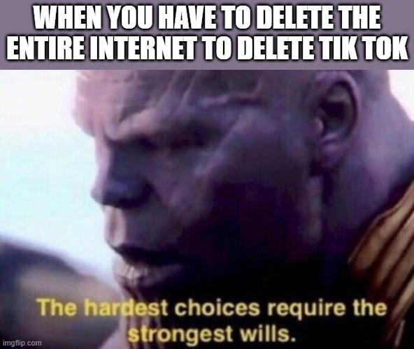 The hardest choices require the strongest wills | WHEN YOU HAVE TO DELETE THE ENTIRE INTERNET TO DELETE TIK TOK | image tagged in the hardest choices require the strongest wills,i'm 15 so don't try it,who reads these | made w/ Imgflip meme maker