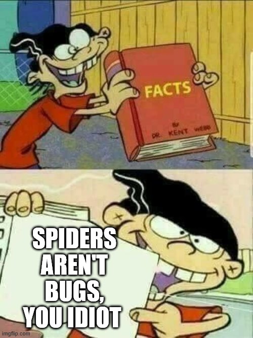 Double d facts book  | SPIDERS AREN'T BUGS, YOU IDIOT | image tagged in double d facts book | made w/ Imgflip meme maker