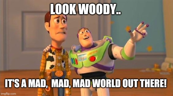 Mad World | LOOK WOODY.. IT'S A MAD,  MAD, MAD WORLD OUT THERE! | image tagged in buzz and woody | made w/ Imgflip meme maker