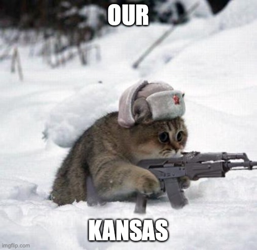 Cute Sad Soviet War Kitten | OUR KANSAS | image tagged in cute sad soviet war kitten | made w/ Imgflip meme maker