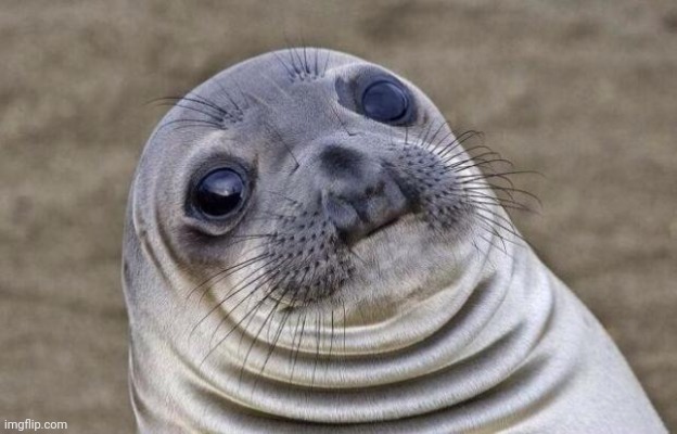 Awkward Moment Sealion | image tagged in memes,awkward moment sealion | made w/ Imgflip meme maker