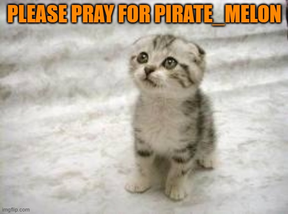 Sad Cat | PLEASE PRAY FOR PIRATE_MELON | image tagged in memes,sad cat | made w/ Imgflip meme maker
