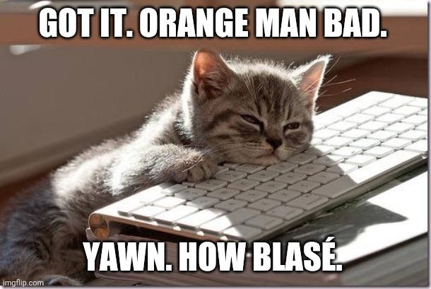 Bored Keyboard Cat | GOT IT. ORANGE MAN BAD. YAWN. HOW BLASÉ. | image tagged in bored keyboard cat | made w/ Imgflip meme maker