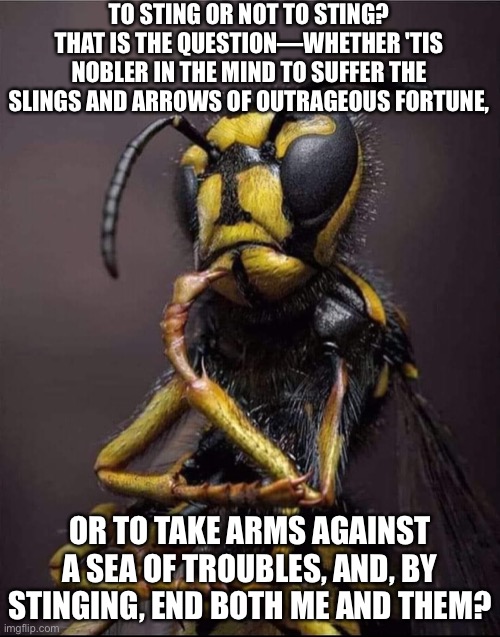 To sting, or not to sting | TO STING OR NOT TO STING? THAT IS THE QUESTION—WHETHER 'TIS NOBLER IN THE MIND TO SUFFER THE SLINGS AND ARROWS OF OUTRAGEOUS FORTUNE, OR TO TAKE ARMS AGAINST A SEA OF TROUBLES, AND, BY STINGING, END BOTH ME AND THEM? | image tagged in perplexed murder hornet,shakespeare,memes | made w/ Imgflip meme maker