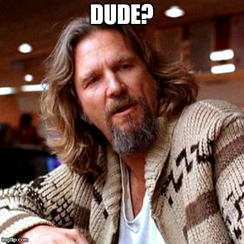 Confused Lebowski Meme | DUDE? | image tagged in memes,confused lebowski | made w/ Imgflip meme maker