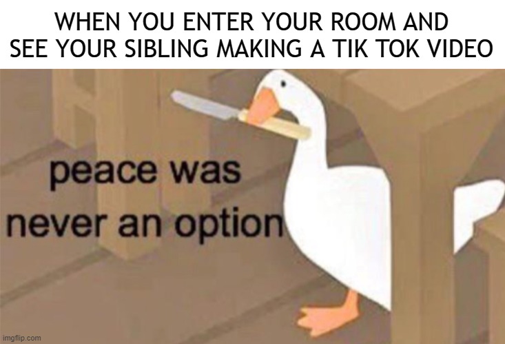 I love my elder sis, but that's where i draw the line...?‍♂️ | WHEN YOU ENTER YOUR ROOM AND SEE YOUR SIBLING MAKING A TIK TOK VIDEO | image tagged in untitled goose peace was never an option,siblings,sibling rivalry | made w/ Imgflip meme maker