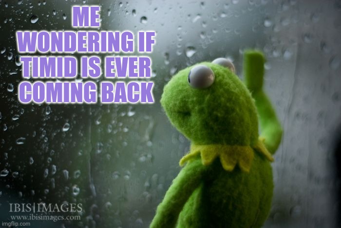 kermit window | ME WONDERING IF TIMID IS EVER COMING BACK | image tagged in kermit window | made w/ Imgflip meme maker