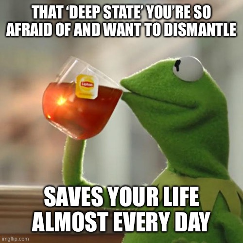 But That's None Of My Business Meme | THAT ‘DEEP STATE’ YOU’RE SO AFRAID OF AND WANT TO DISMANTLE SAVES YOUR LIFE ALMOST EVERY DAY | image tagged in memes,but that's none of my business,kermit the frog | made w/ Imgflip meme maker
