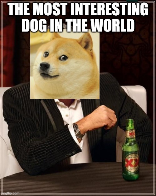The Most Interesting Man In The World | THE MOST INTERESTING DOG IN THE WORLD | image tagged in memes,the most interesting man in the world | made w/ Imgflip meme maker