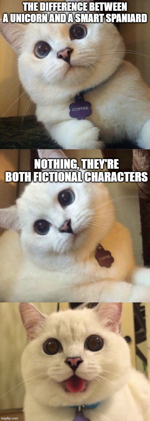 bad pun cat  | THE DIFFERENCE BETWEEN A UNICORN AND A SMART SPANIARD; NOTHING, THEY'RE BOTH FICTIONAL CHARACTERS | image tagged in bad pun cat,spanish,funny cat memes,hispanic,cat memes,coffee | made w/ Imgflip meme maker