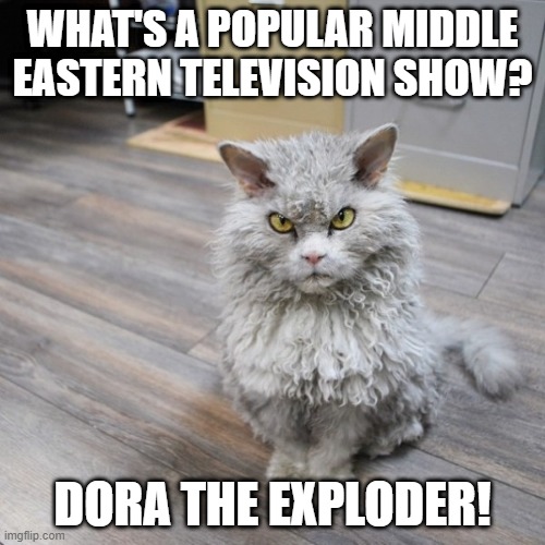 Bad Joke Cat | WHAT'S A POPULAR MIDDLE EASTERN TELEVISION SHOW? DORA THE EXPLODER! | image tagged in bad joke cat,dora the explorer,bad pun cat,funny cat memes,cat meme,muslims | made w/ Imgflip meme maker