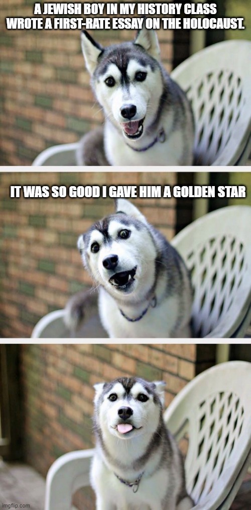 Bad Pun Dog 2 | A JEWISH BOY IN MY HISTORY CLASS WROTE A FIRST-RATE ESSAY ON THE HOLOCAUST. IT WAS SO GOOD I GAVE HIM A GOLDEN STAR | image tagged in bad pun dog 2,holocaust,bad pun dog,bad joke dog,funny dog memes,jews | made w/ Imgflip meme maker