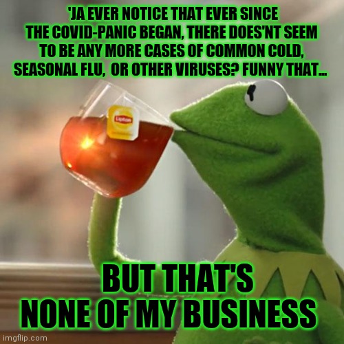 DON'T BELIEVE THE PANIC | 'JA EVER NOTICE THAT EVER SINCE THE COVID-PANIC BEGAN, THERE DOES'NT SEEM TO BE ANY MORE CASES OF COMMON COLD, SEASONAL FLU,  OR OTHER VIRUSES? FUNNY THAT... BUT THAT'S NONE OF MY BUSINESS | image tagged in memes,but that's none of my business,kermit the frog,covid-19,hoax | made w/ Imgflip meme maker