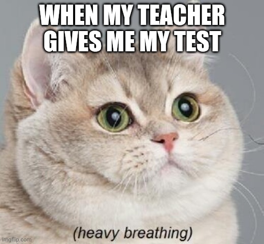 Heavy Breathing Cat Meme | WHEN MY TEACHER GIVES ME MY TEST | image tagged in memes,heavy breathing cat | made w/ Imgflip meme maker