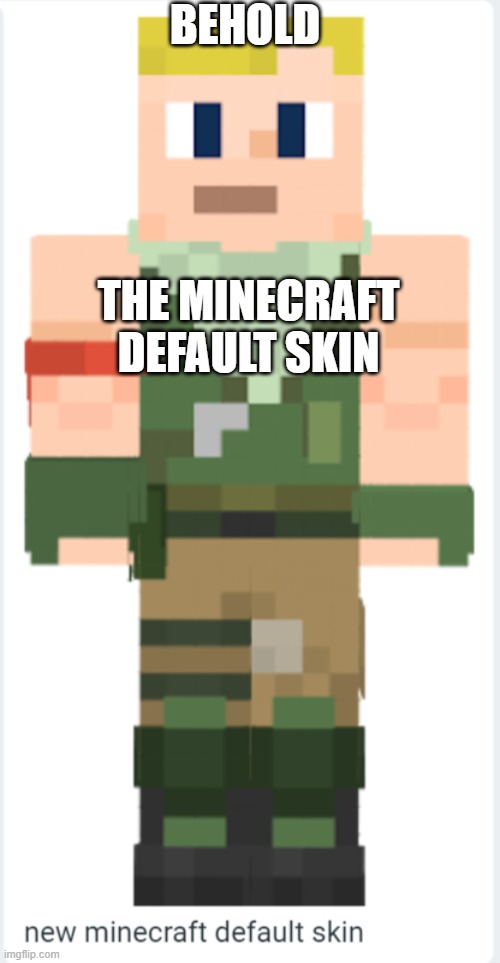 The Minecraft Default Skin | BEHOLD; THE MINECRAFT DEFAULT SKIN | image tagged in funny,funny memes | made w/ Imgflip meme maker
