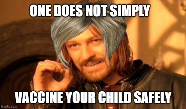 Karen | ONE DOES NOT SIMPLY; VACCINE YOUR CHILD SAFELY | image tagged in memes,one does not simply | made w/ Imgflip meme maker