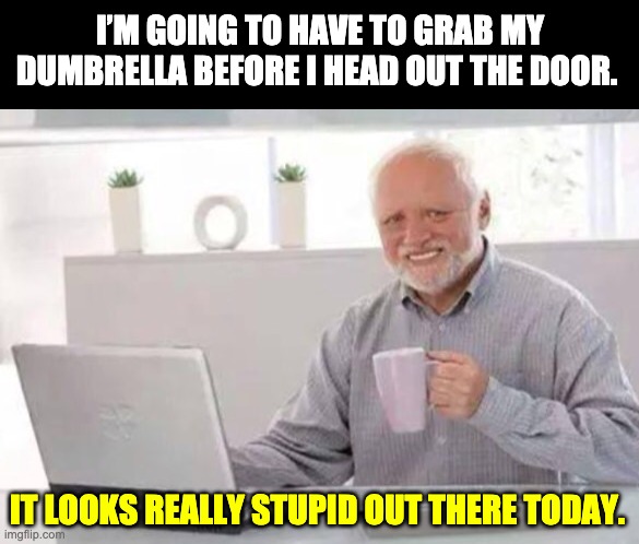 Harold | I’M GOING TO HAVE TO GRAB MY DUMBRELLA BEFORE I HEAD OUT THE DOOR. IT LOOKS REALLY STUPID OUT THERE TODAY. | image tagged in harold | made w/ Imgflip meme maker