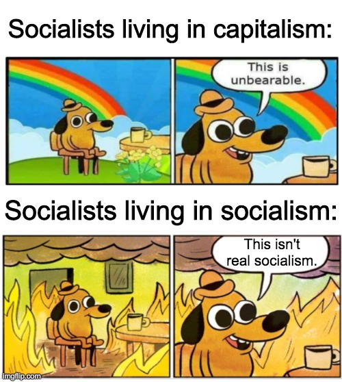 This is fine | Socialists living in capitalism:; Socialists living in socialism:; This isn't real socialism. | image tagged in this is fine,funny,memes,politics,ConservativeMemes | made w/ Imgflip meme maker