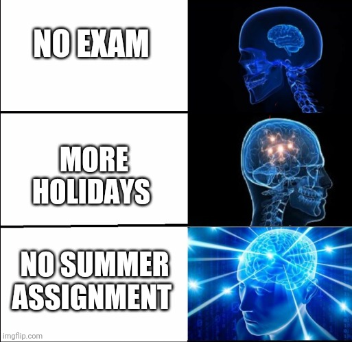 Galaxy Brain (3 brains) | NO EXAM; MORE HOLIDAYS; NO SUMMER ASSIGNMENT | image tagged in galaxy brain 3 brains | made w/ Imgflip meme maker