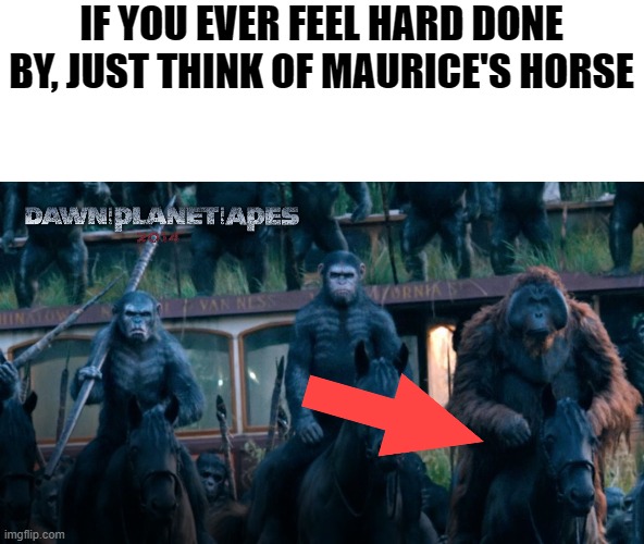 planet ape | IF YOU EVER FEEL HARD DONE BY, JUST THINK OF MAURICE'S HORSE | image tagged in planet of the apes | made w/ Imgflip meme maker