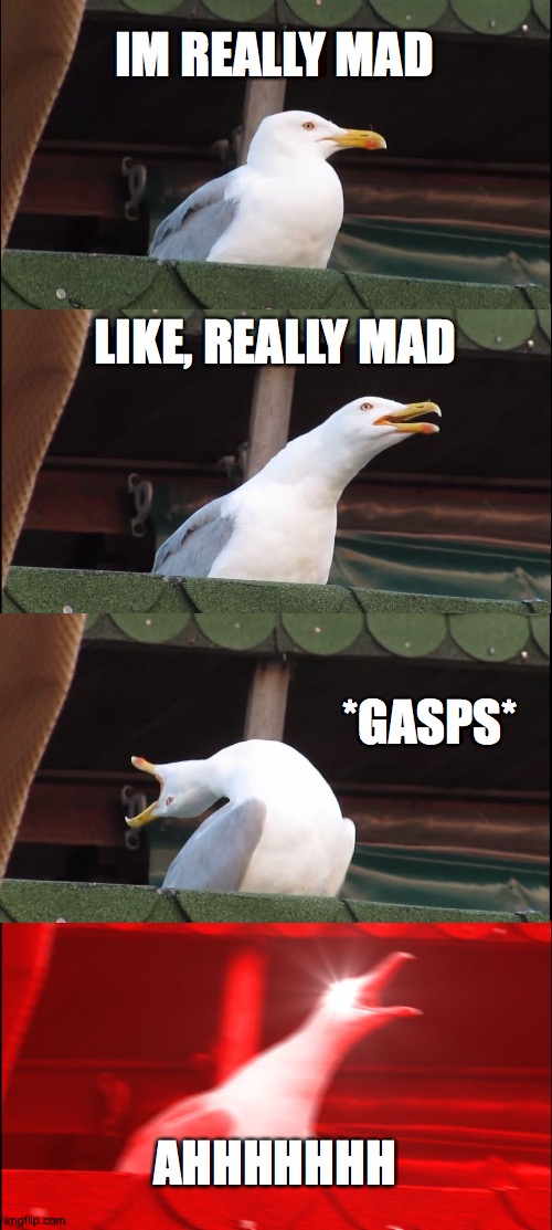 That seagull is ANG-RY | IM REALLY MAD; LIKE, REALLY MAD; *GASPS*; AHHHHHHH | image tagged in memes,inhaling seagull | made w/ Imgflip meme maker