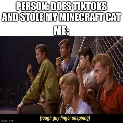 my friend has like 30 cats and guess what i got............. THATS RIGHT 0 |  PERSON: DOES TIKTOKS AND STOLE MY MINECRAFT CAT; ME: | image tagged in tough guy finger snapping,minecraft,cats | made w/ Imgflip meme maker