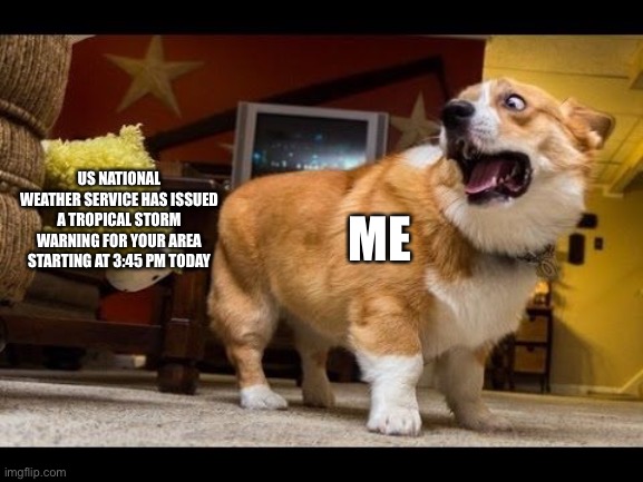 I just got issued a tropical storm warning, any advice? I have until 3:45 pm when it goes into effect. | US NATIONAL WEATHER SERVICE HAS ISSUED A TROPICAL STORM WARNING FOR YOUR AREA STARTING AT 3:45 PM TODAY; ME | image tagged in scared corgi | made w/ Imgflip meme maker