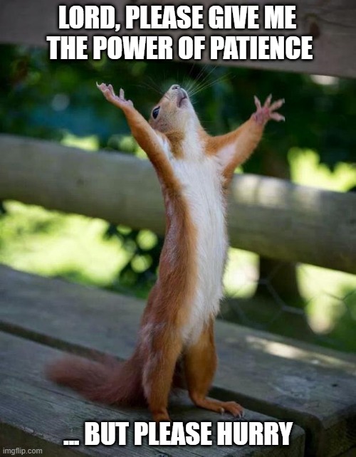 Happy Squirrel | LORD, PLEASE GIVE ME 
THE POWER OF PATIENCE; ... BUT PLEASE HURRY | image tagged in happy squirrel | made w/ Imgflip meme maker