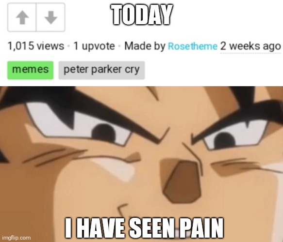 TODAY; I HAVE SEEN PAIN | image tagged in memes | made w/ Imgflip meme maker