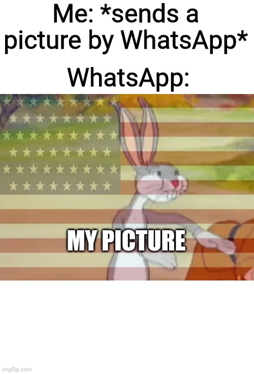 My picture | Me: *sends a picture by WhatsApp*; WhatsApp:; MY PICTURE | image tagged in capitalist bugs bunny | made w/ Imgflip meme maker
