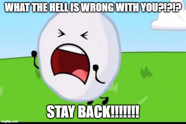 BFDI Snowball NOOOOO | WHAT THE HELL IS WRONG WITH YOU?!?!? STAY BACK!!!!!!! | image tagged in bfdi snowball nooooo | made w/ Imgflip meme maker