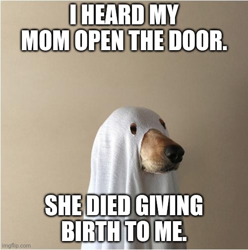 Ghost Doge | I HEARD MY MOM OPEN THE DOOR. SHE DIED GIVING BIRTH TO ME. | image tagged in ghost doge | made w/ Imgflip meme maker