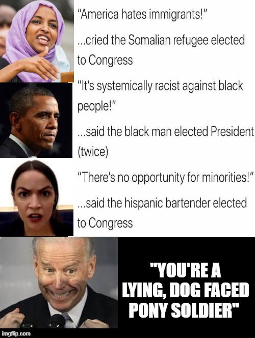 "You’re a lying dog-faced pony soldier." | "YOU'RE A LYING, DOG FACED PONY SOLDIER" | image tagged in stupid liberals,biden | made w/ Imgflip meme maker