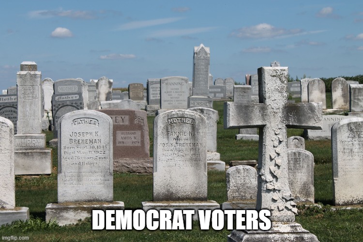 Cemetary | DEMOCRAT VOTERS | image tagged in cemetary | made w/ Imgflip meme maker