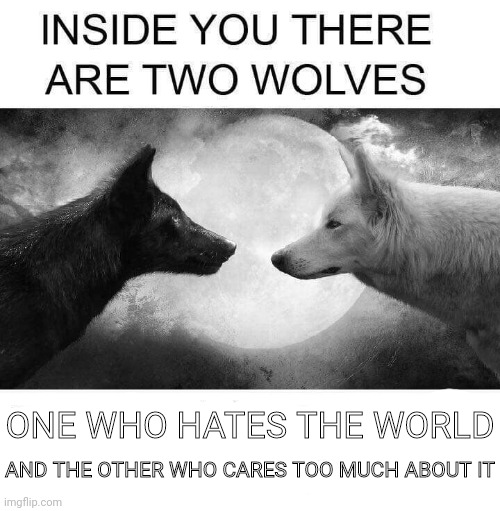 Hate and care | ONE WHO HATES THE WORLD; AND THE OTHER WHO CARES TOO MUCH ABOUT IT | image tagged in inside you there are two wolves | made w/ Imgflip meme maker