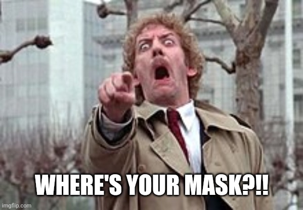 Body Snatchers | WHERE'S YOUR MASK?!! | image tagged in body snatchers | made w/ Imgflip meme maker