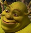 Shrek Face Blank Meme Template