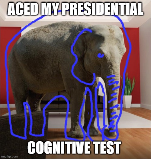 Cognitive Test | ACED MY PRESIDENTIAL; COGNITIVE TEST | image tagged in elephant in the room | made w/ Imgflip meme maker