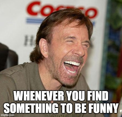 Finding something funny | WHENEVER YOU FIND SOMETHING TO BE FUNNY | image tagged in memes,chuck norris laughing,chuck norris | made w/ Imgflip meme maker
