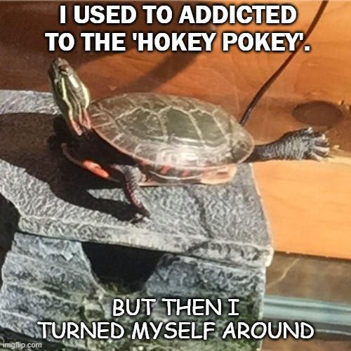 Daily Bad Dad Joke July 10 2020 | I USED TO ADDICTED TO THE 'HOKEY POKEY'. BUT THEN I TURNED MYSELF AROUND | image tagged in turtle yoga | made w/ Imgflip meme maker