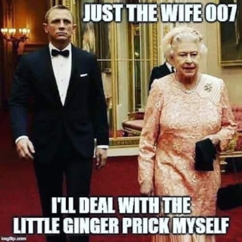 Just the wife | image tagged in memes,repost,fun,funny,007,queen | made w/ Imgflip meme maker