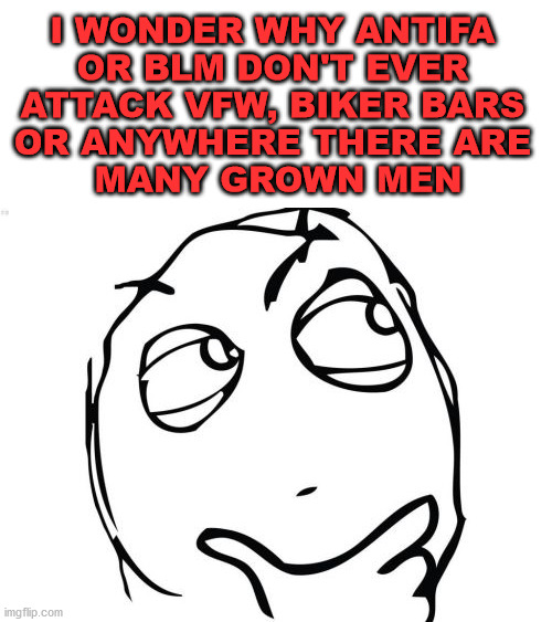Question Rage Face | I WONDER WHY ANTIFA 
OR BLM DON'T EVER 
ATTACK VFW, BIKER BARS 
OR ANYWHERE THERE ARE 
MANY GROWN MEN | image tagged in memes,question rage face | made w/ Imgflip meme maker