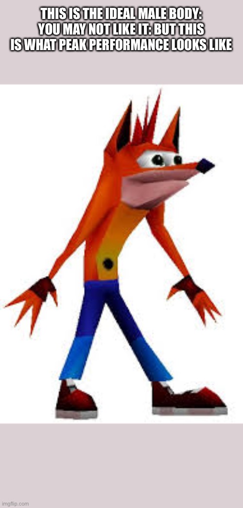 Woah | THIS IS THE IDEAL MALE BODY: YOU MAY NOT LIKE IT: BUT THIS IS WHAT PEAK PERFORMANCE LOOKS LIKE | image tagged in crash bandicoot,memes,woah,ideal,fun | made w/ Imgflip meme maker